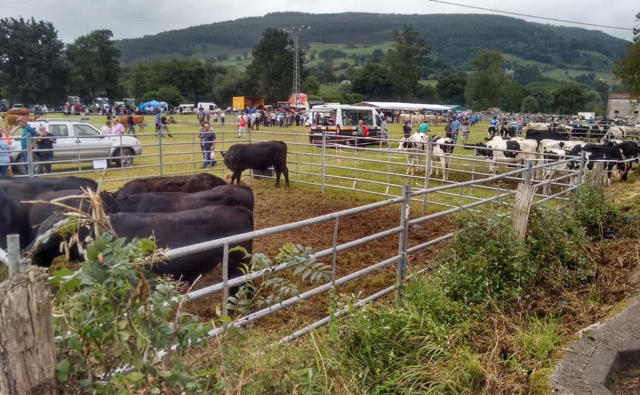 Imagen de la última feria celebrada en el pueblo, en 2019 