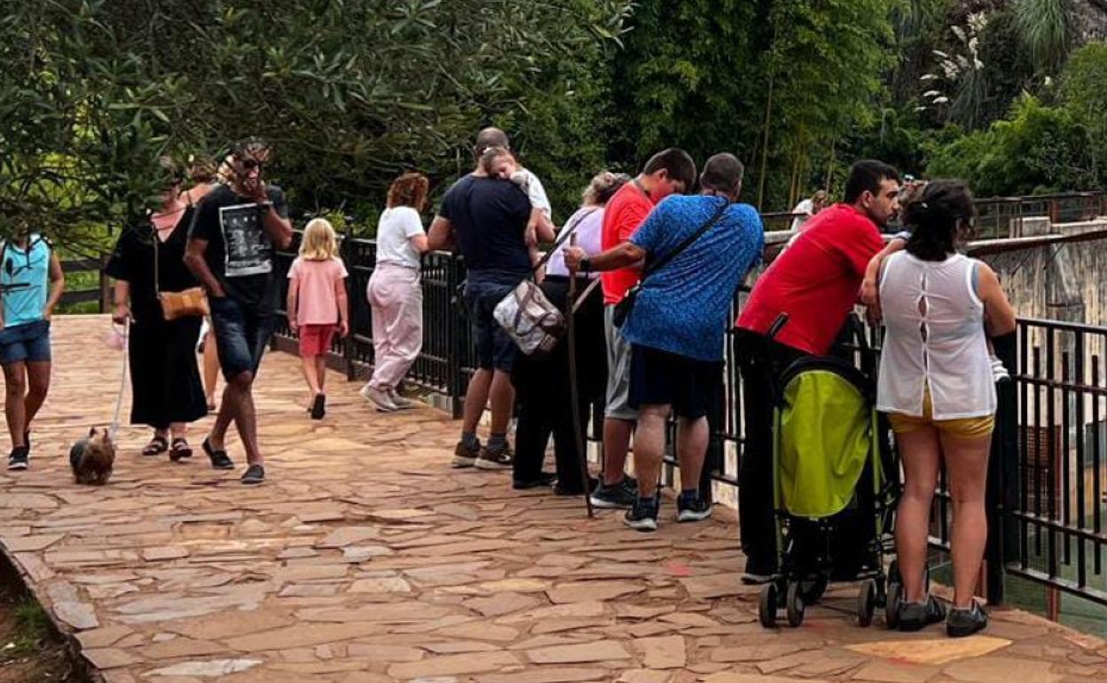 Los niños hasta diez años entrarán gratis al Parque de Cabárceno