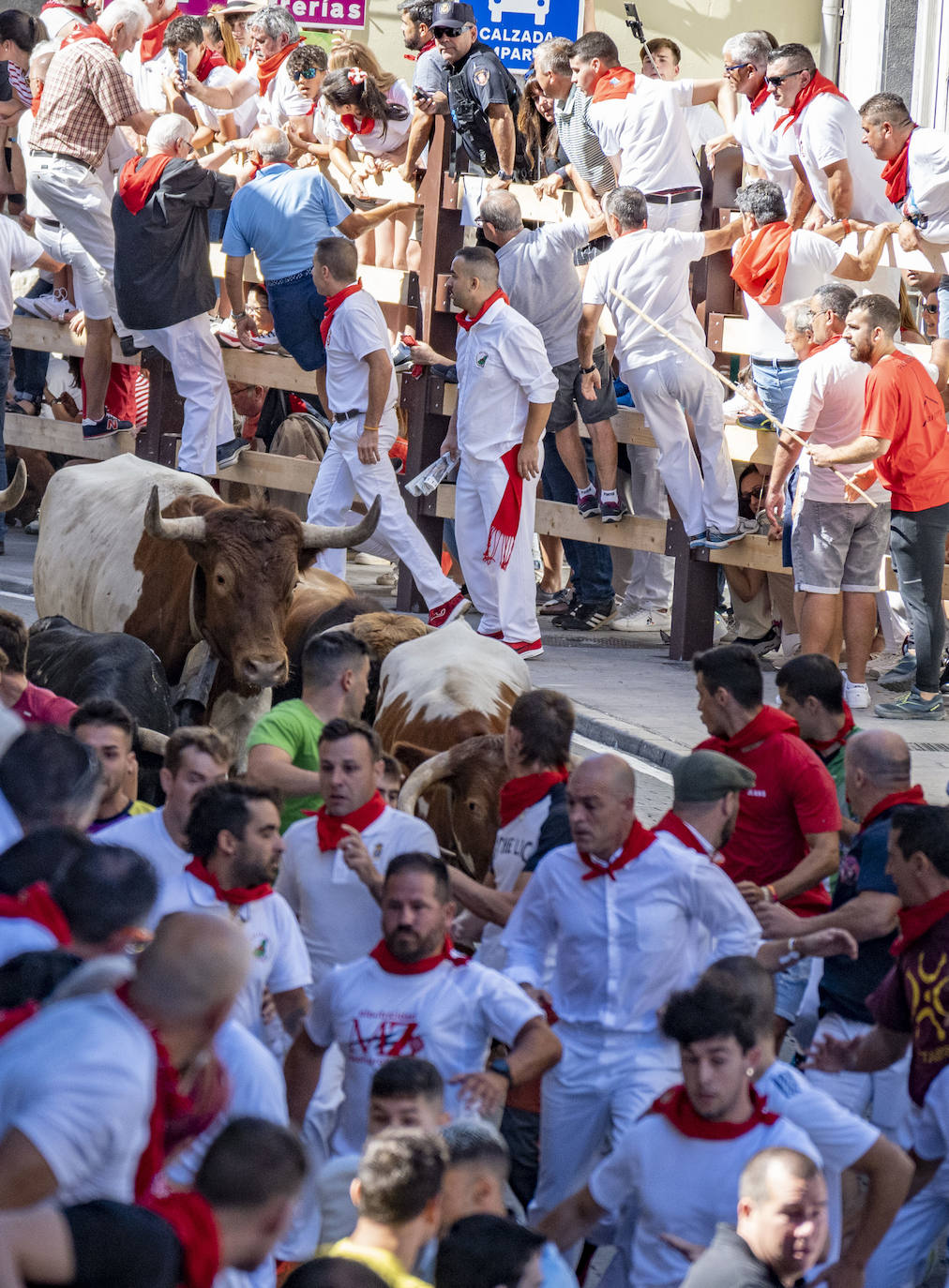 Fotos: Emocionante tercer encierro de las Fiestas de Ampuero