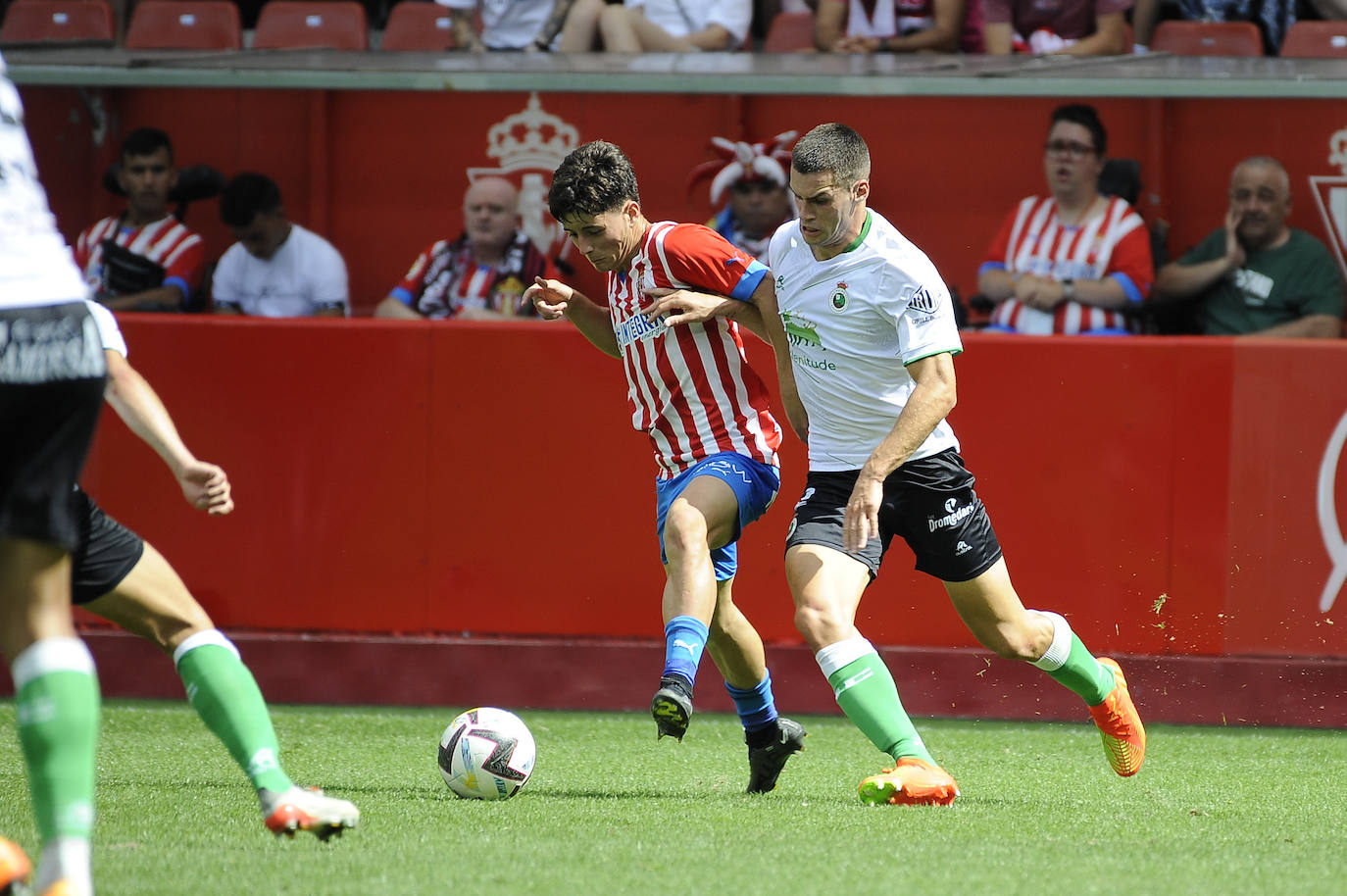 Fotos: Imágenes del partido Sporting-Racing en El Molinón