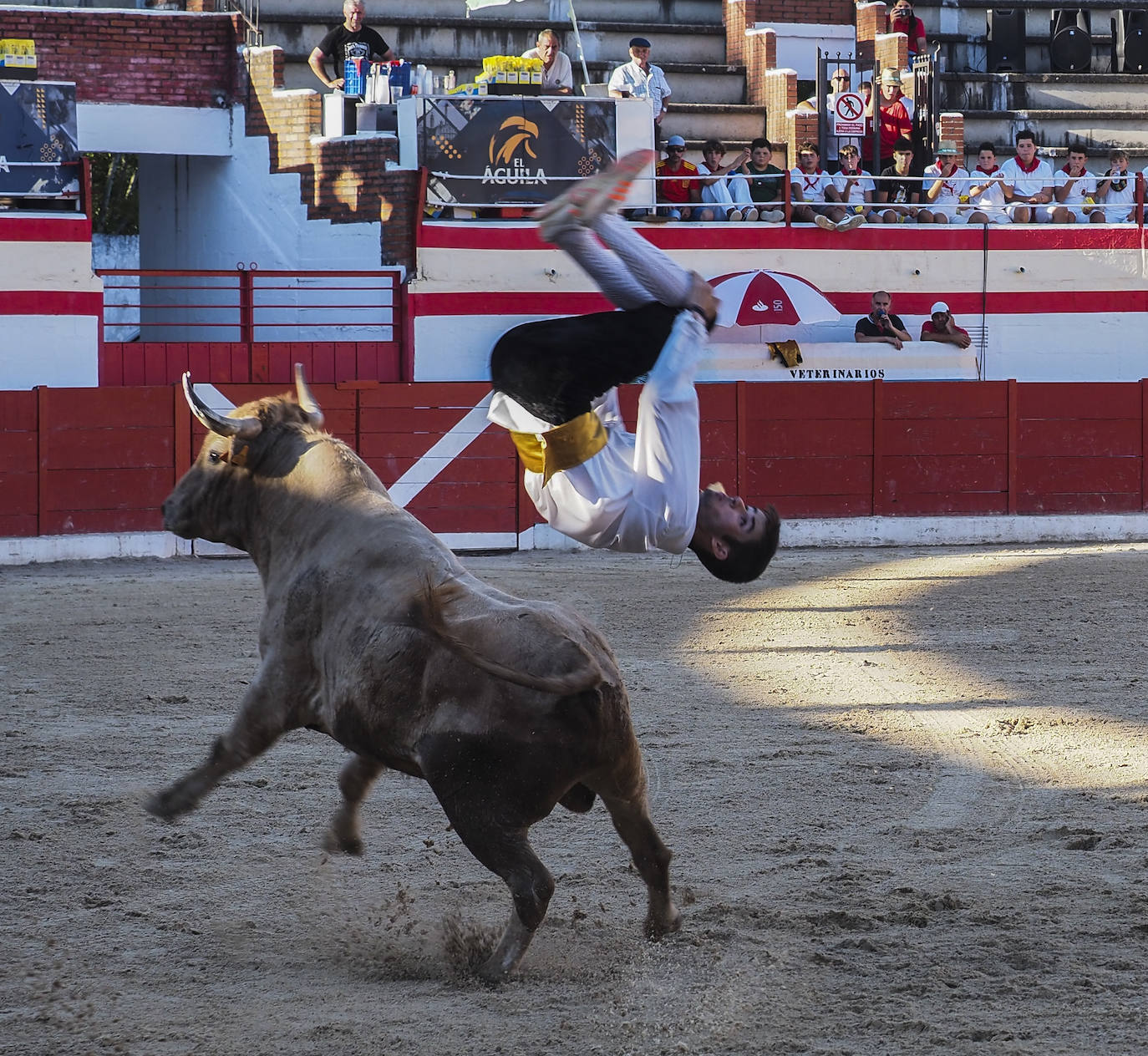 Fotos: Imágenes del concurso de recortadores de Ampuero