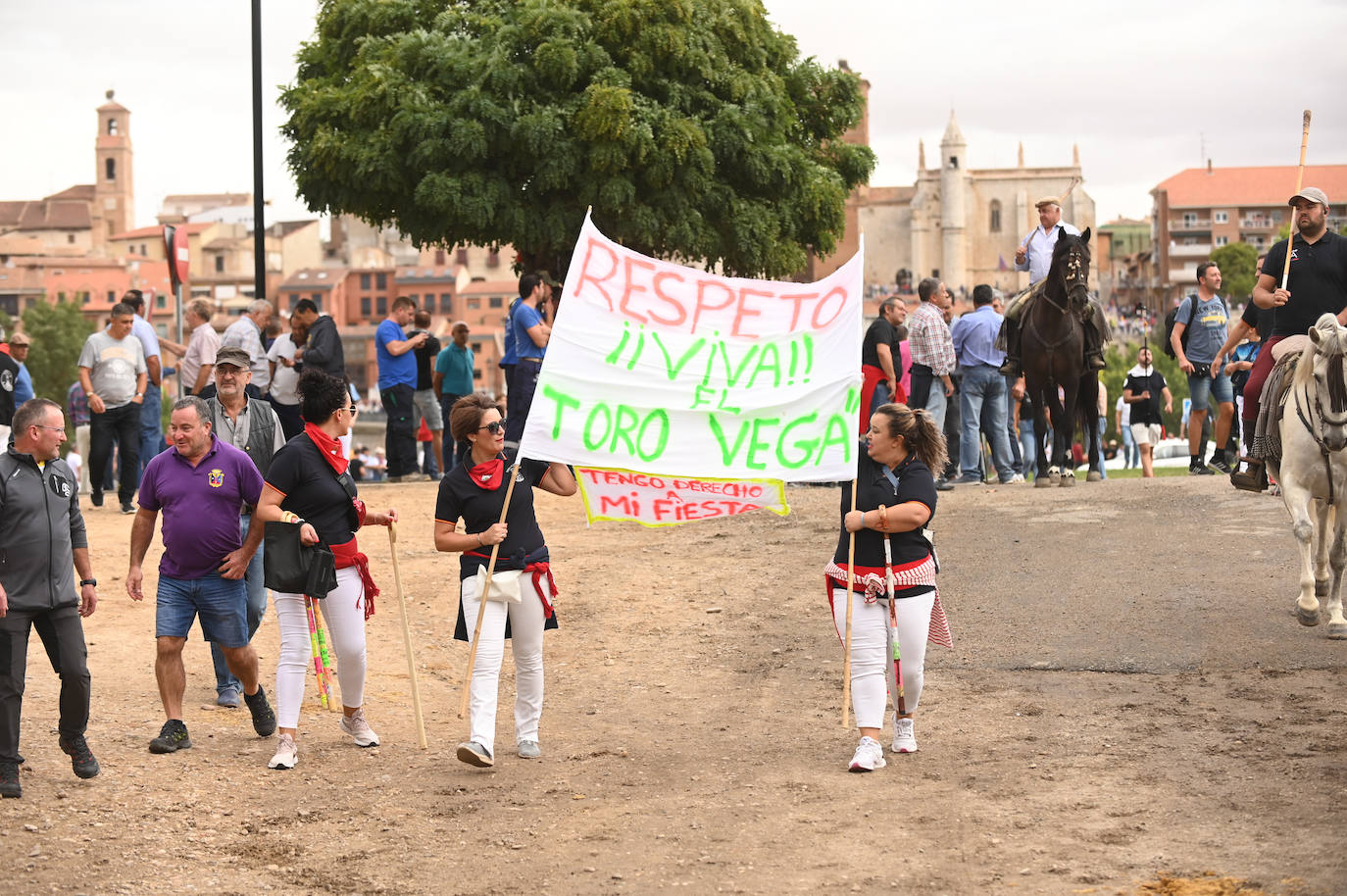 Fotos: El encierro del Toro de la Vega, en imágenes