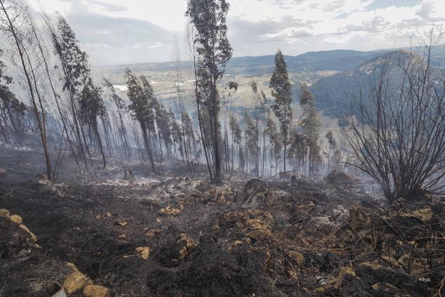 Parte de la superficie arrasada por el fuego.