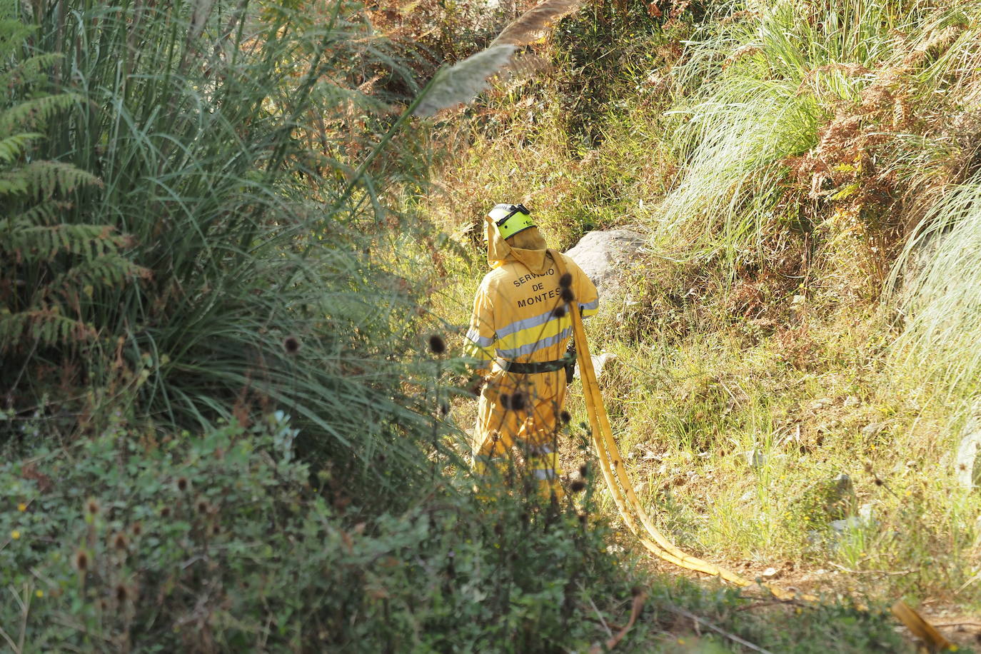 Fotos: Incendios activos pero contolados en Cantabria