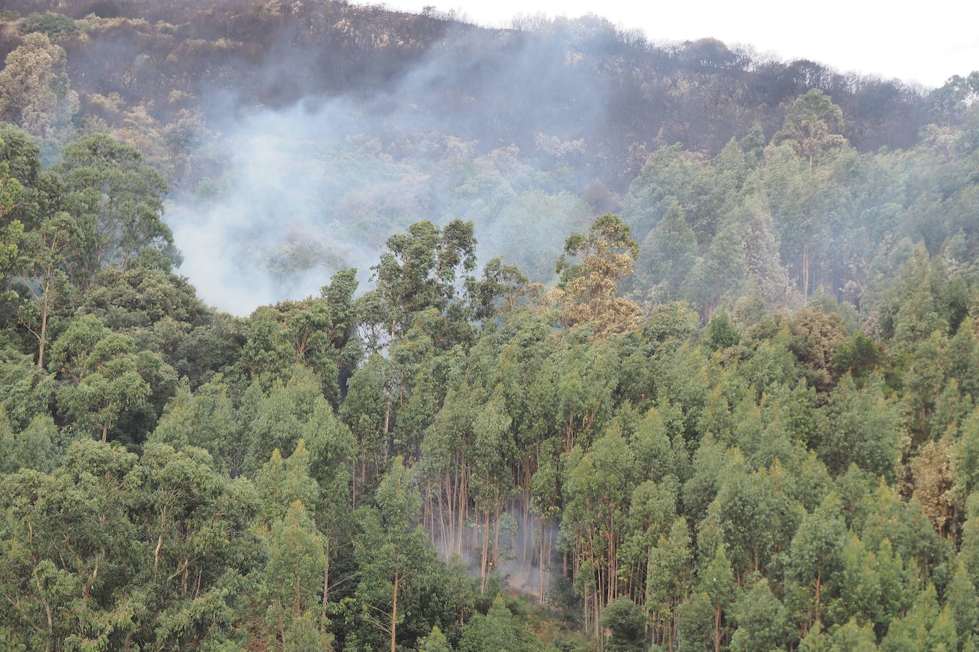 Fotos: Incendios activos pero contolados en Cantabria