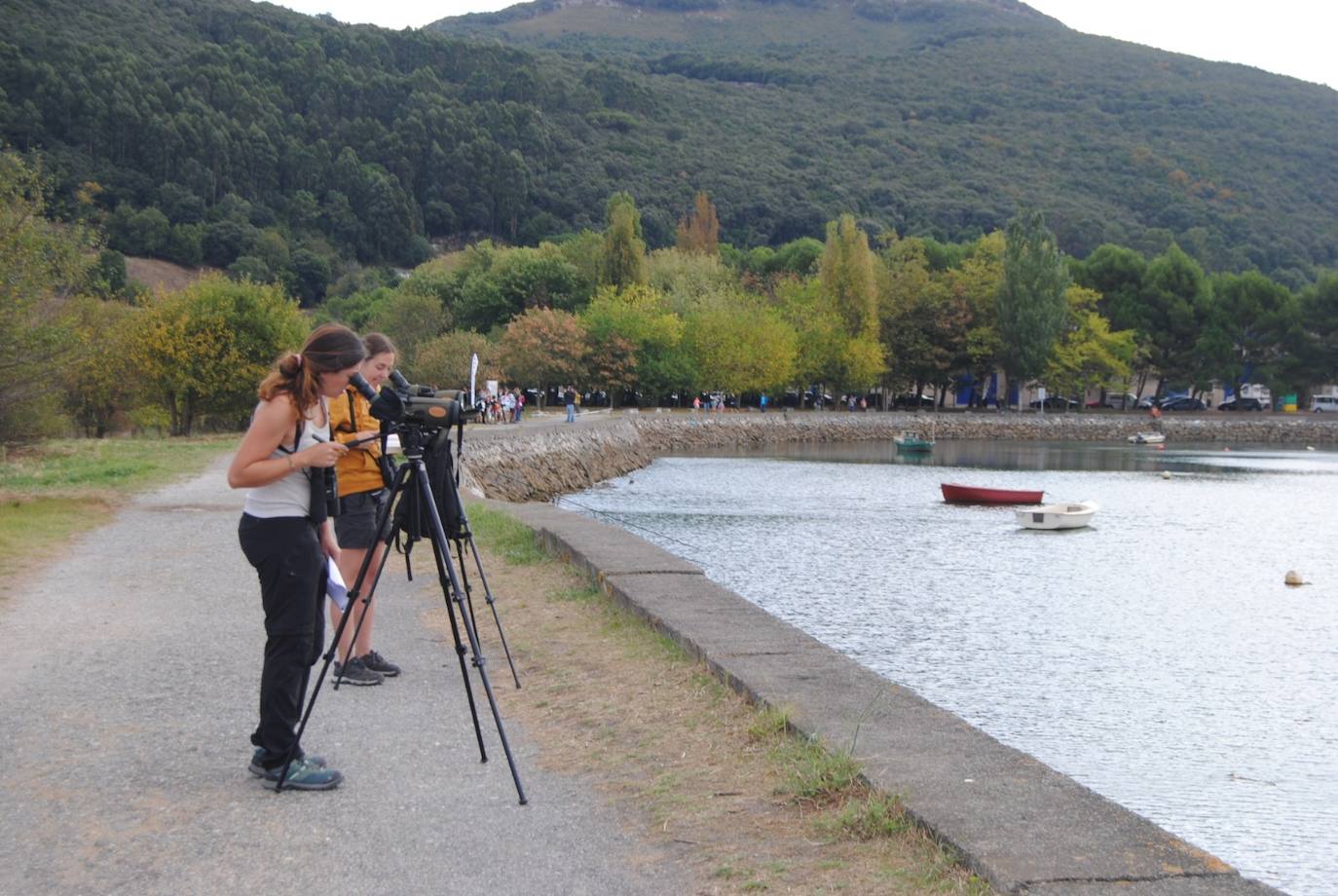 Fotos: Festival de Migración de las Aves en las marismas de Santoña