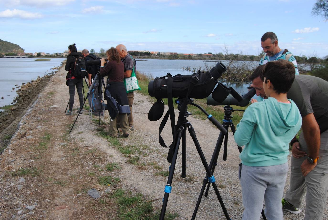 Fotos: Festival de Migración de las Aves en las marismas de Santoña