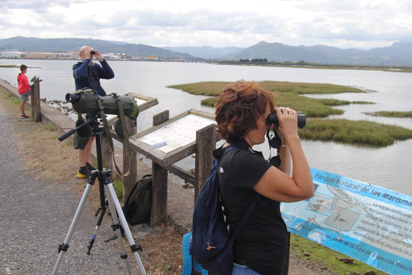 Fotos: Festival de Migración de las Aves en las marismas de Santoña