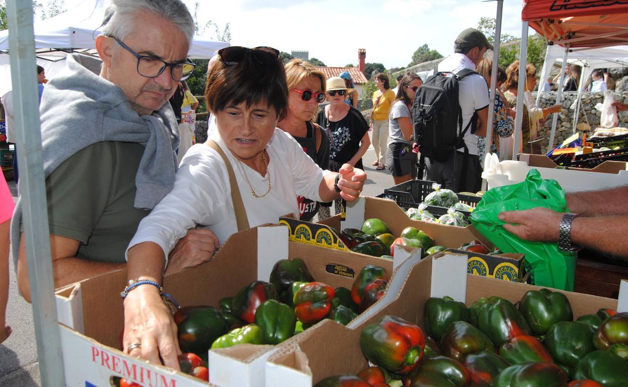 Numeroso público adepto al pimiento de Isla se acercó hoy a la cita. 