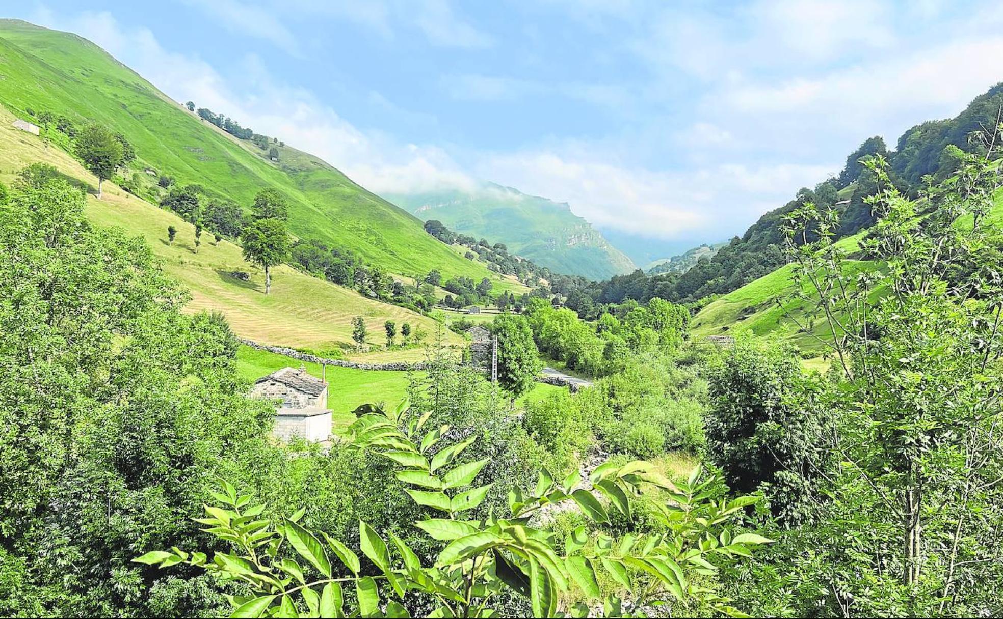Zona de pastos de San Roque de Riomiera. 
