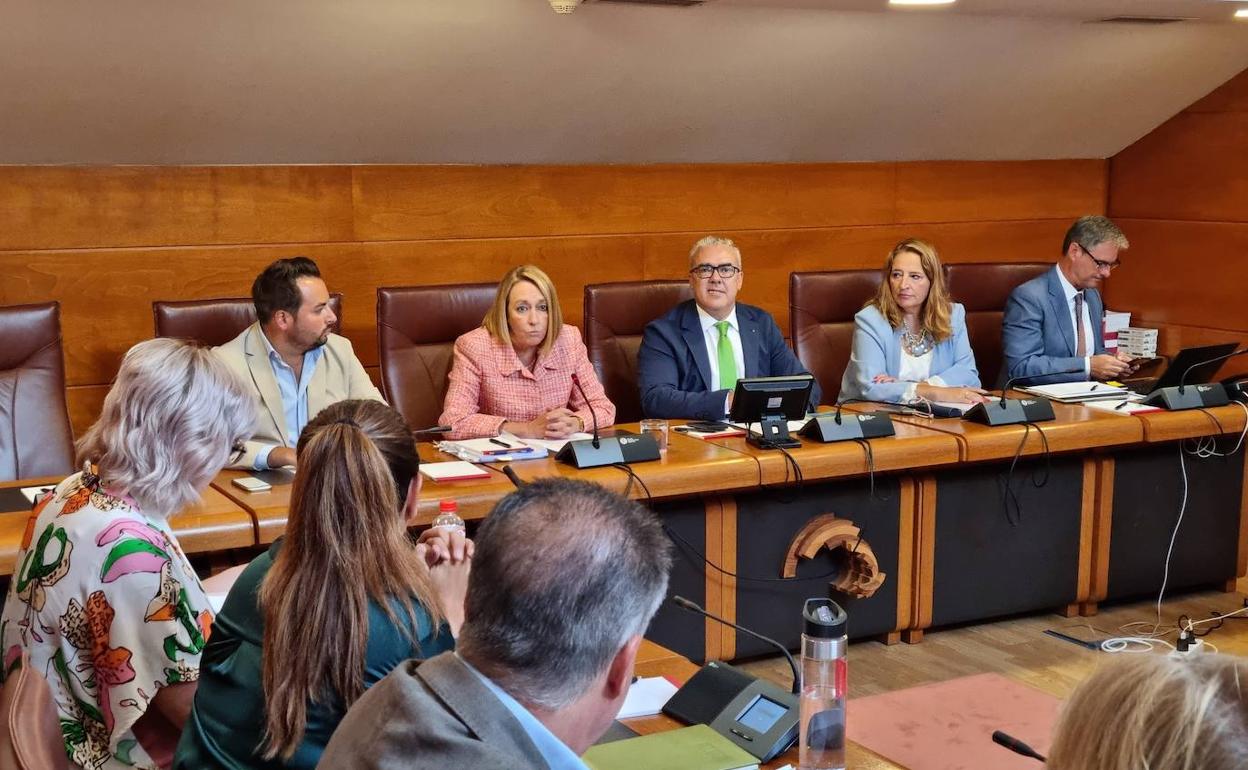 Pilar Jiménez, vestida con traje rosa, en la comisión parlamentaria en la que ha comparecido este martes.