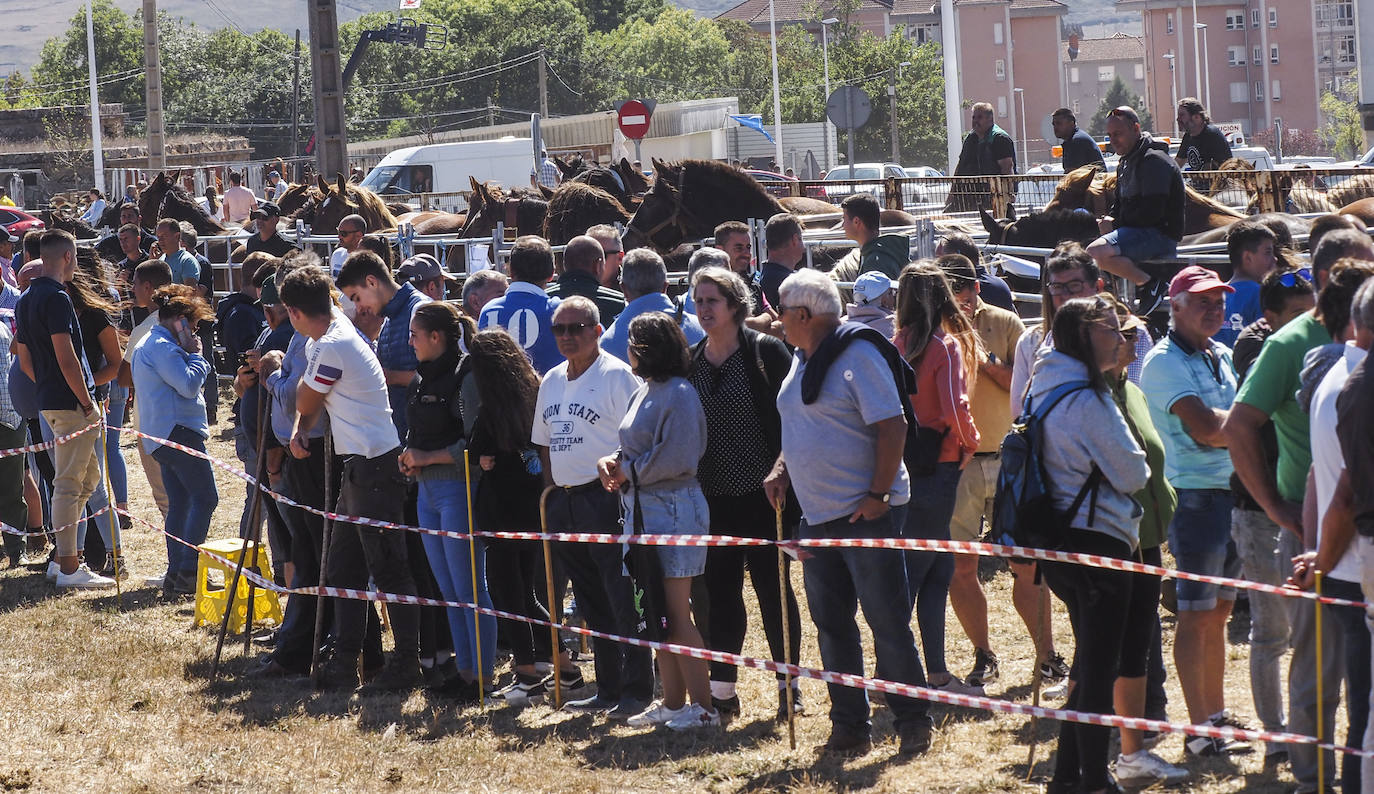 Numerosas personas se han acercado a Reinosa para disfrutar de los actos probramados con motivo de San Mateo.