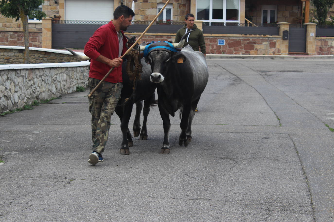 Fotos: Preparados para el Día de Campoo