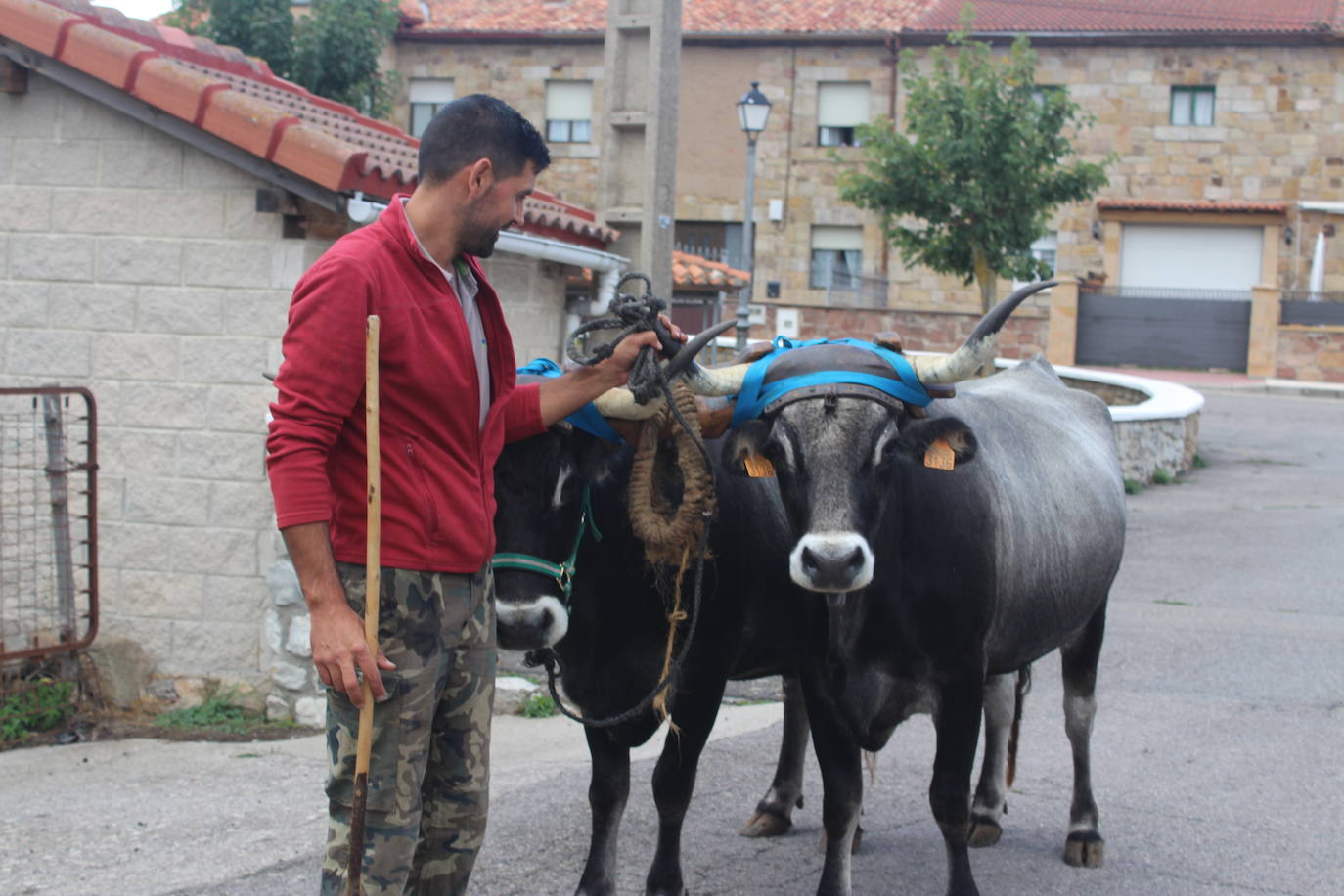 Fotos: Preparados para el Día de Campoo