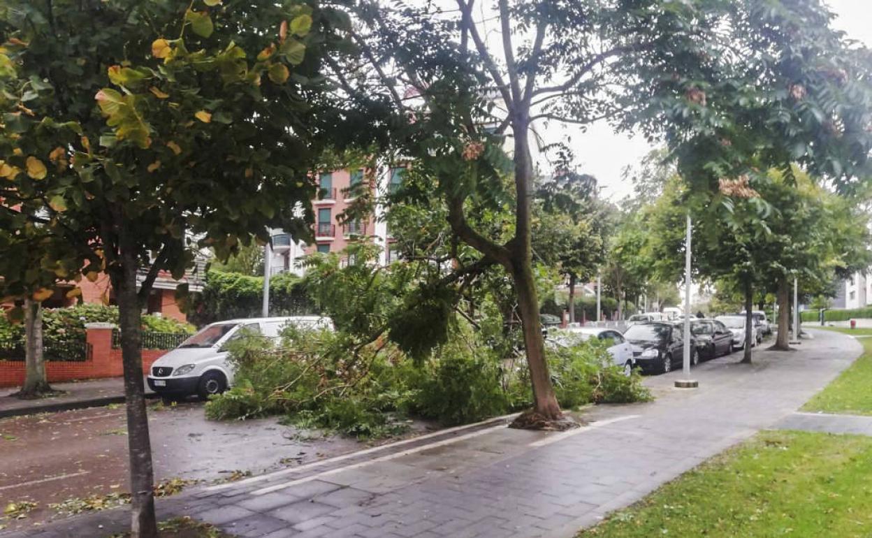 Así quedó la calle Arsenio Odriozola, en Valdenoja, tras la caída del árbol.