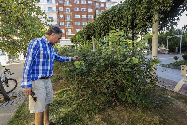 La falta de agua ha dañado a numerosas especies vegetales