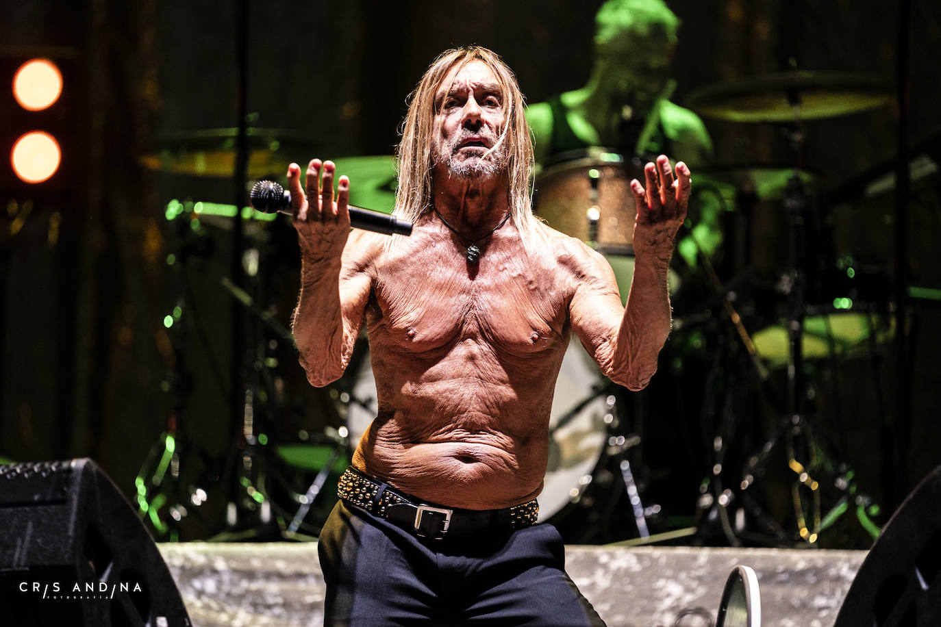 Iggy Pop