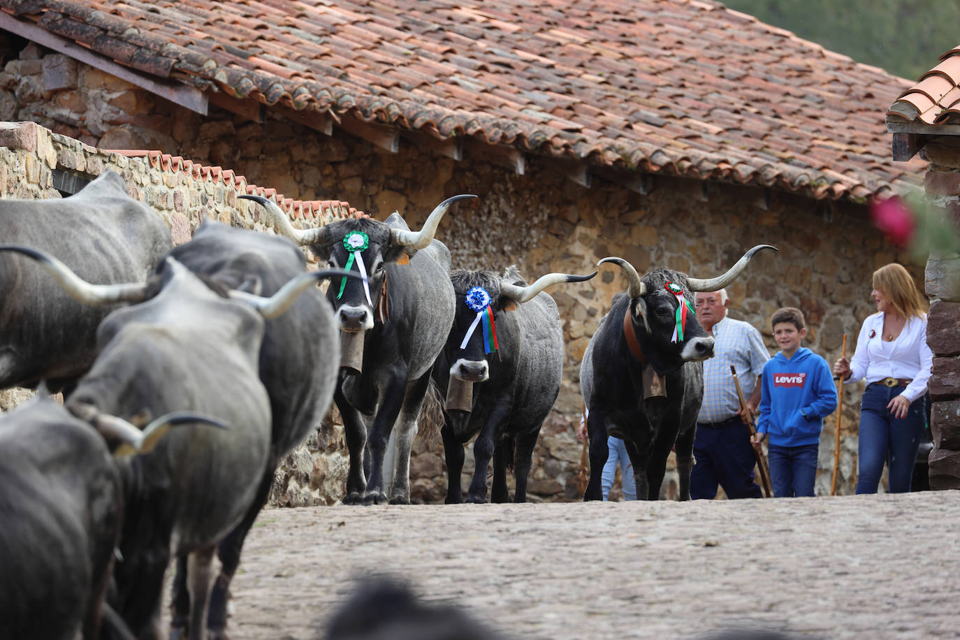 Fotos: La pasá de Carmona