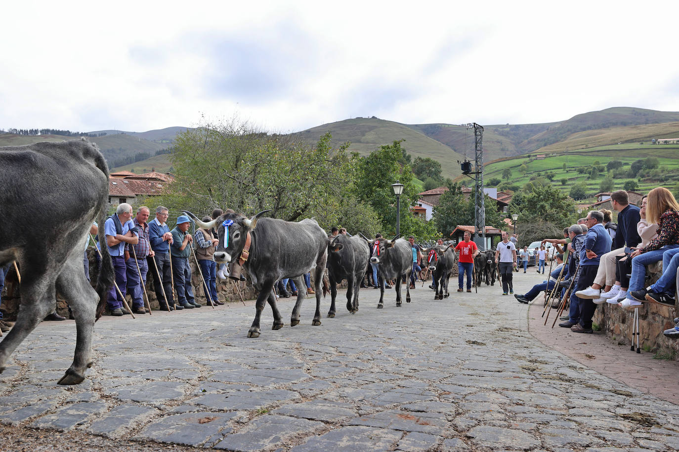 Fotos: La pasá de Carmona