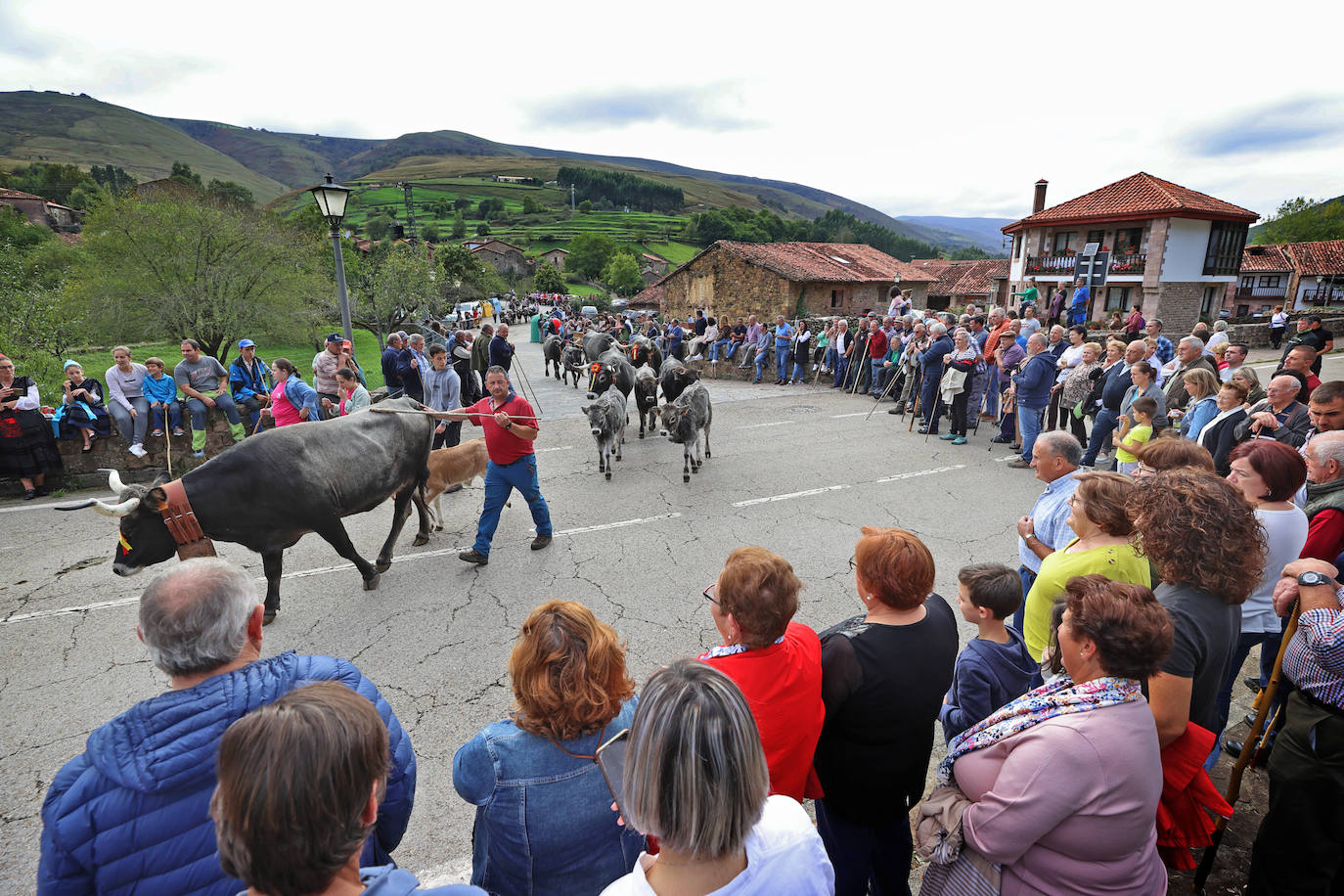 Fotos: La pasá de Carmona