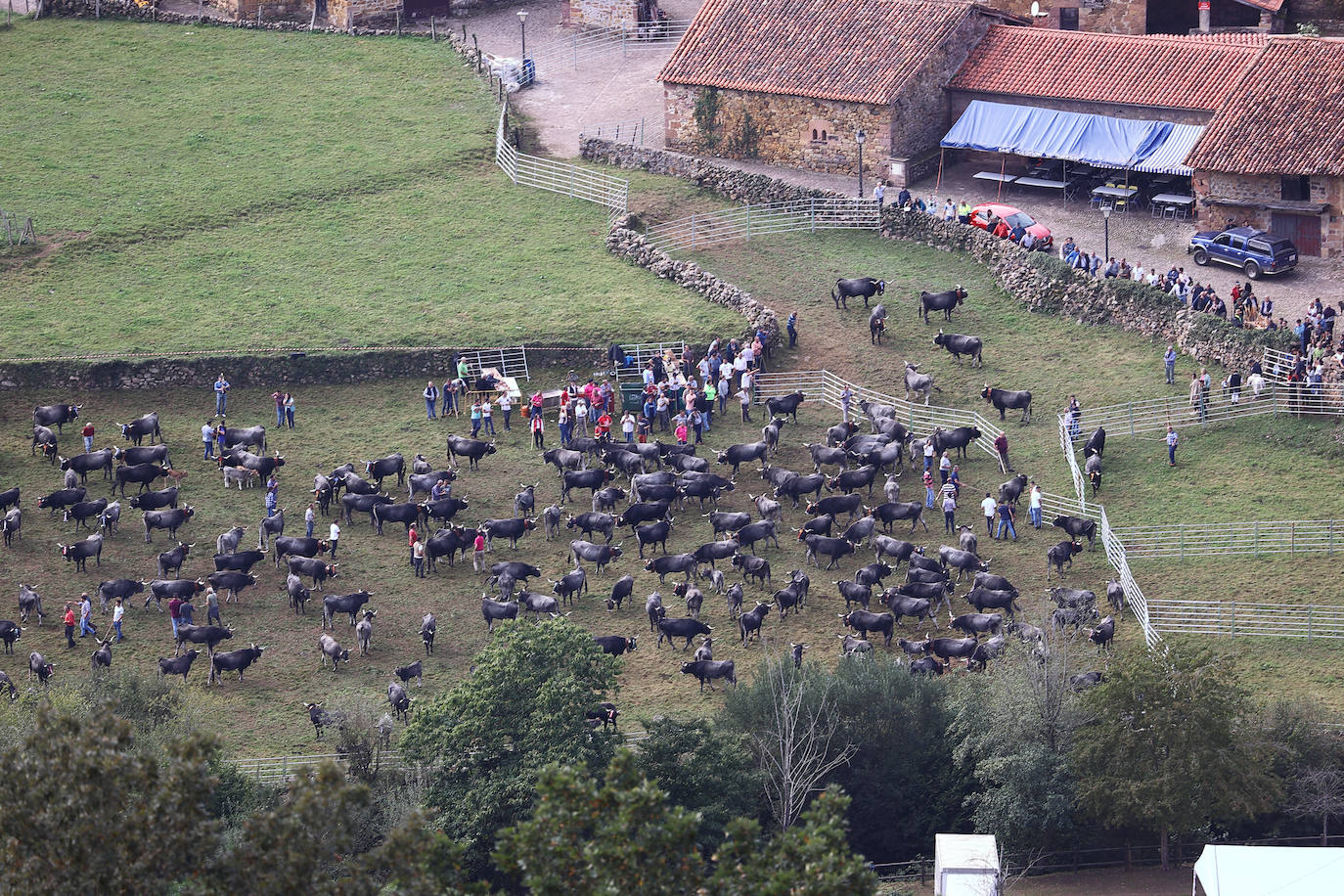 Fotos: La pasá de Carmona