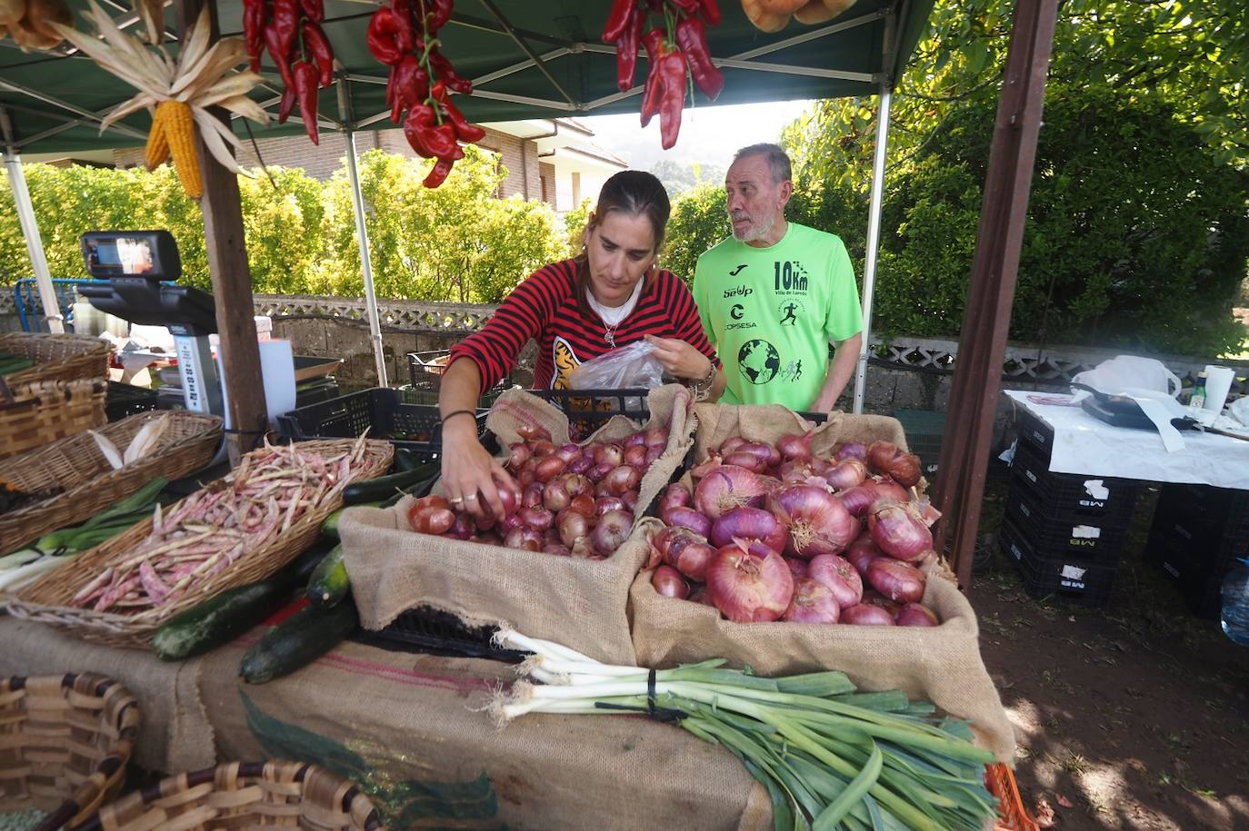 Fotos: El mercado de otoño de Liérganes