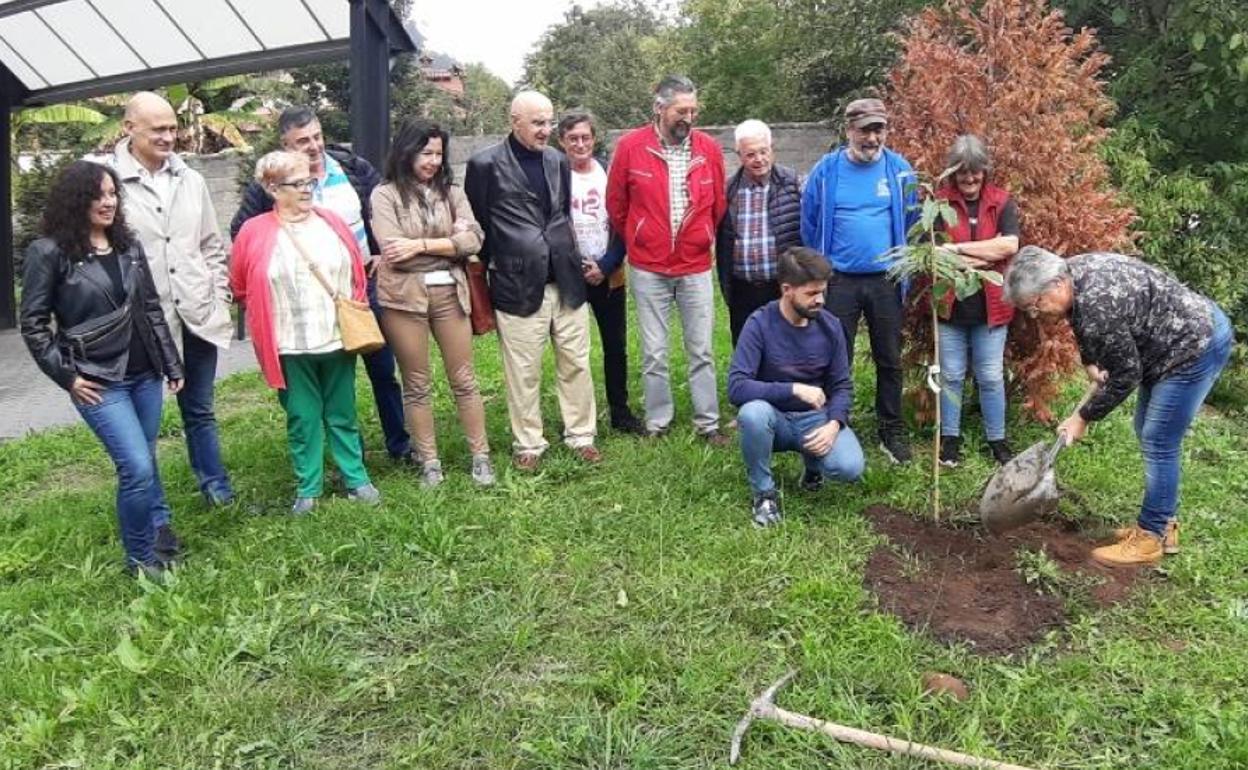 Plantación de un castaño tras la presentación de 'Magostas de Buelna'.