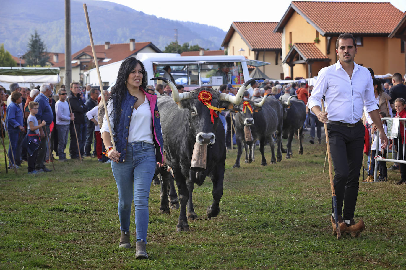 Fotos: Las tudancas se lucen en Cabezón de la Sal