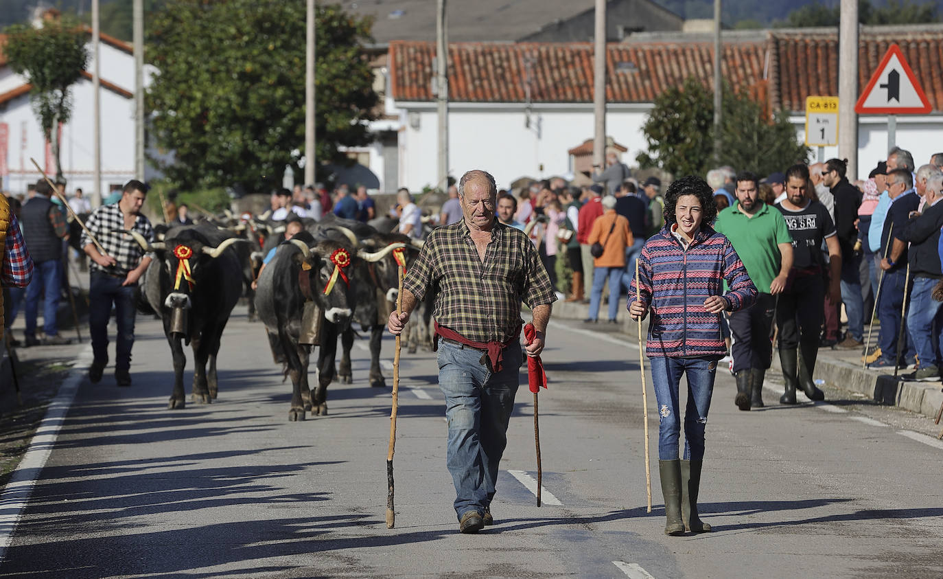 Fotos: Las tudancas se lucen en Cabezón de la Sal