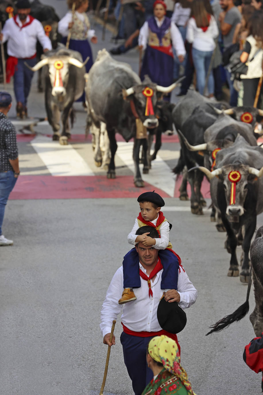 Fotos: Las tudancas se lucen en Cabezón de la Sal