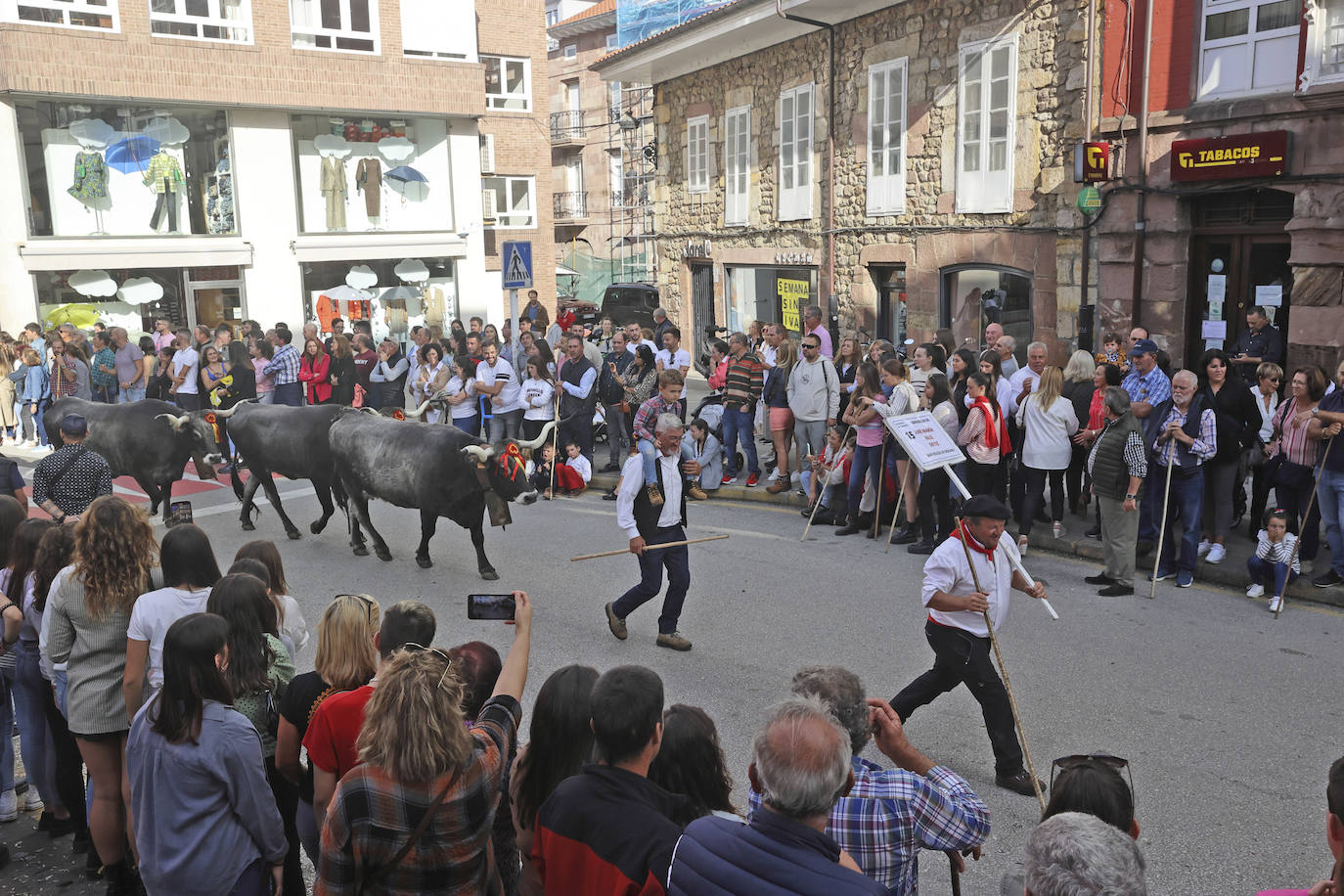 Fotos: Las tudancas se lucen en Cabezón de la Sal