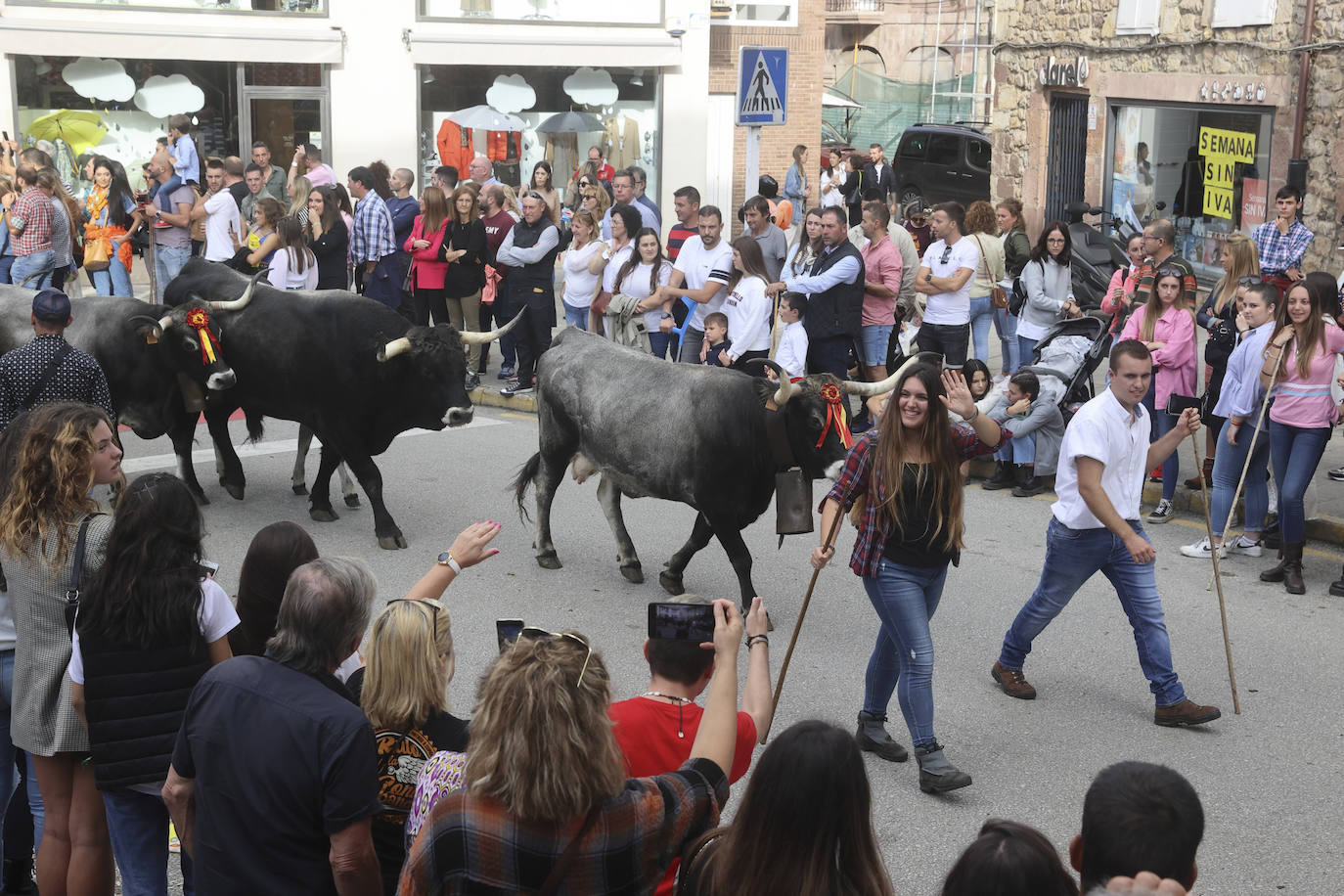 Fotos: Las tudancas se lucen en Cabezón de la Sal