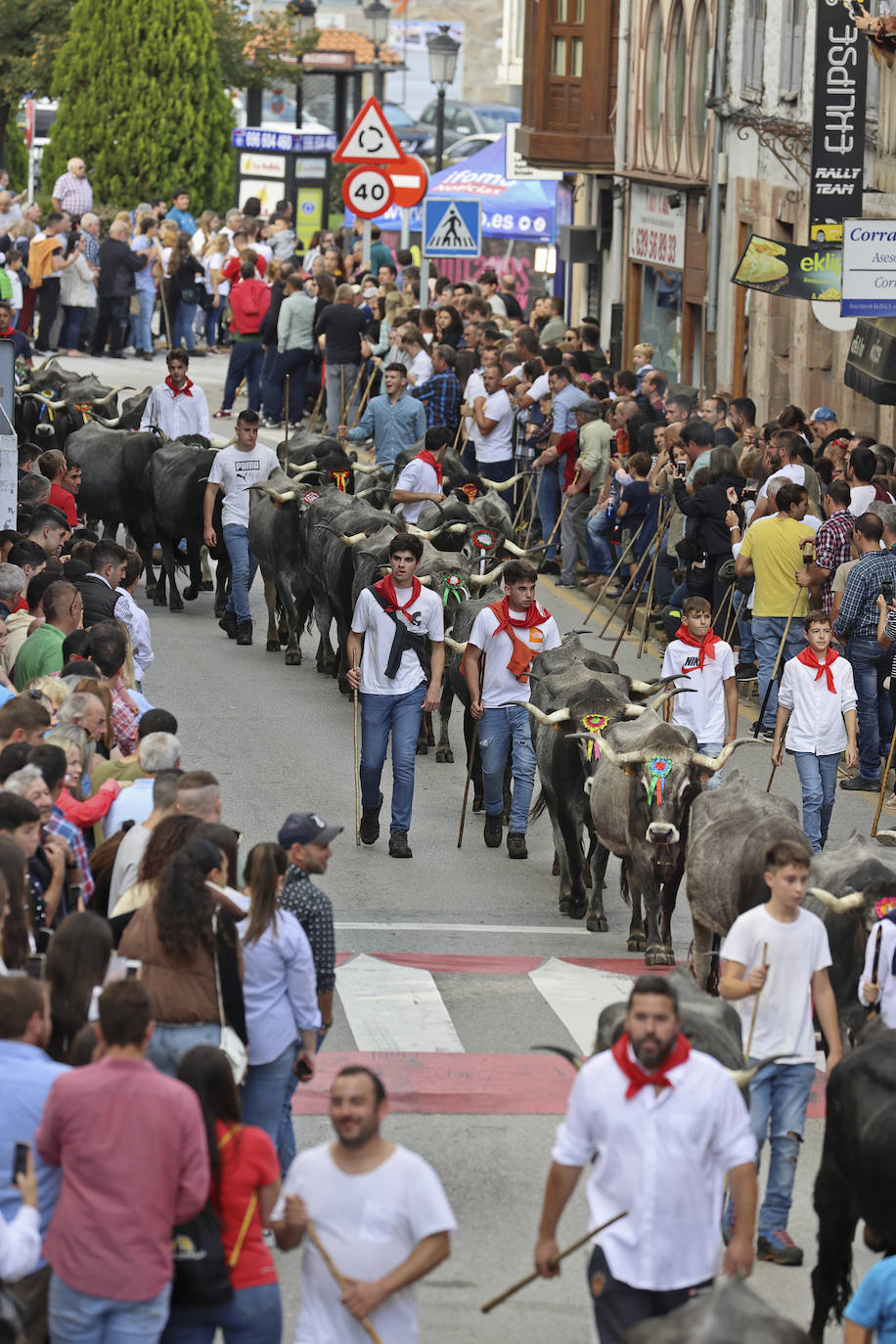 Fotos: Las tudancas se lucen en Cabezón de la Sal