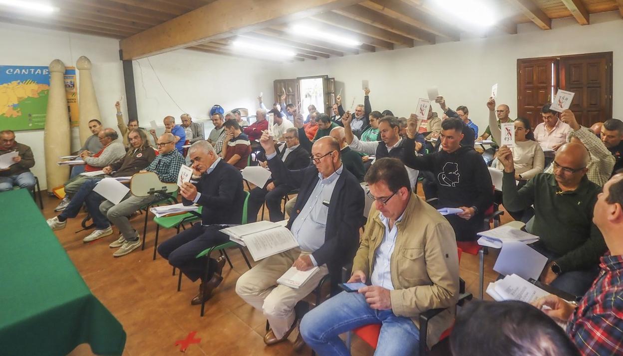 La asamblea de la Federación Cántabra aprobó el pasado 2 de octubre la reestructuración de las Ligas Regionales. 