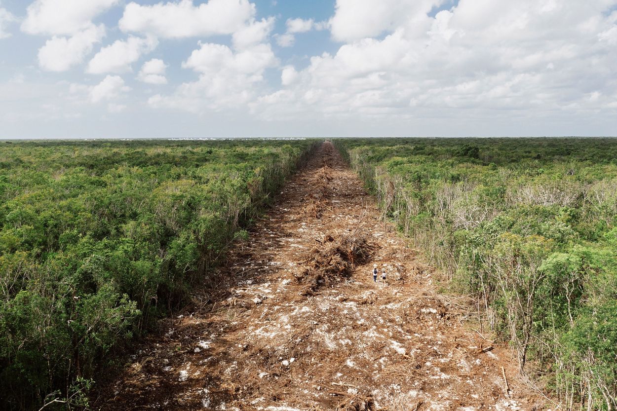 La selva de la Península de Yucatán donde se construirá el Tren Maya. 