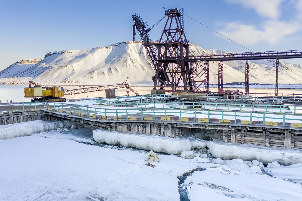 Una osa polar hembra amamanta a sus dos cachorros del año en el puerto del asentamiento ruso abandonado Pyramiden.