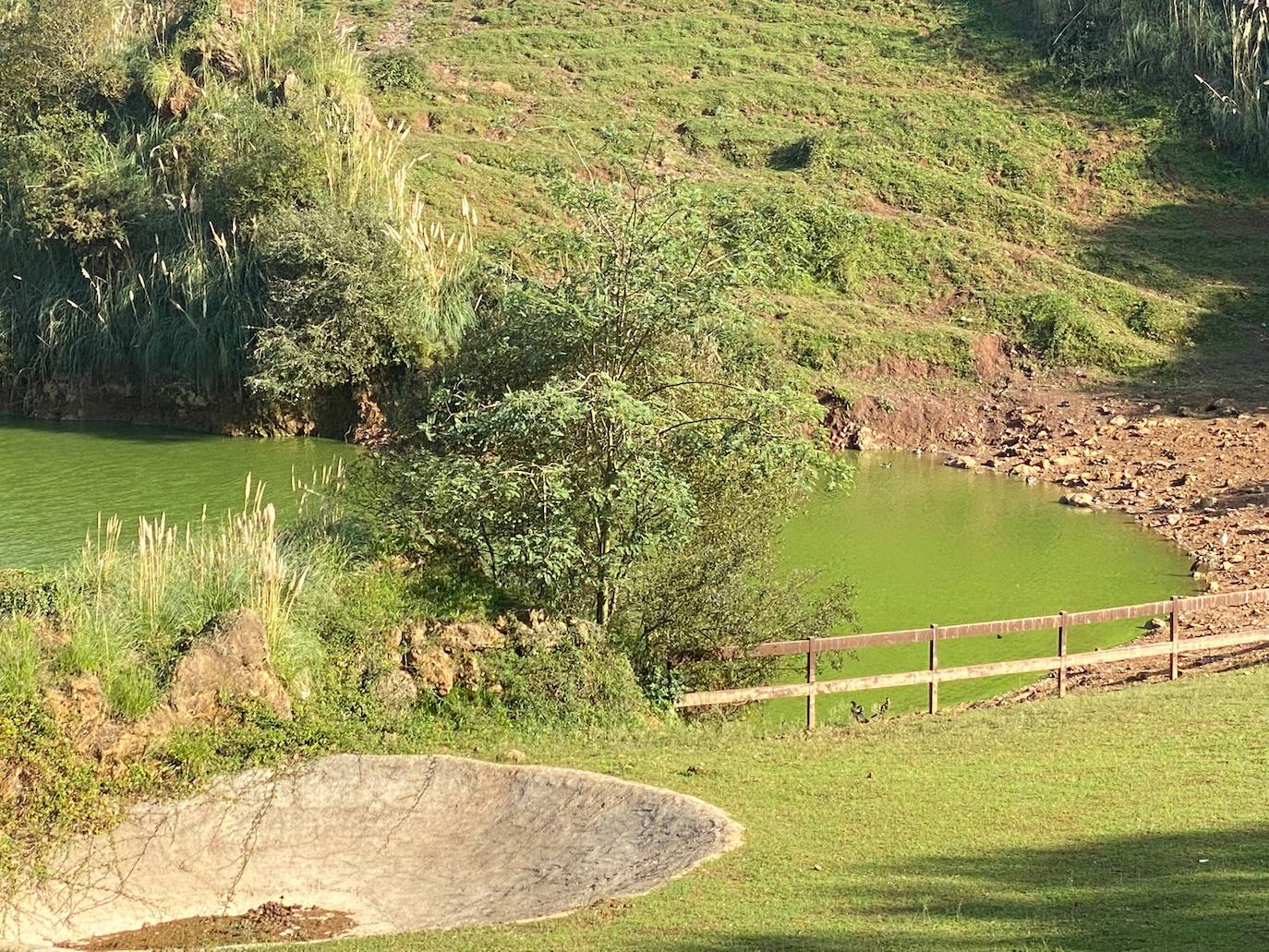 Fotos: El lago verde aceituna de Cabárceno