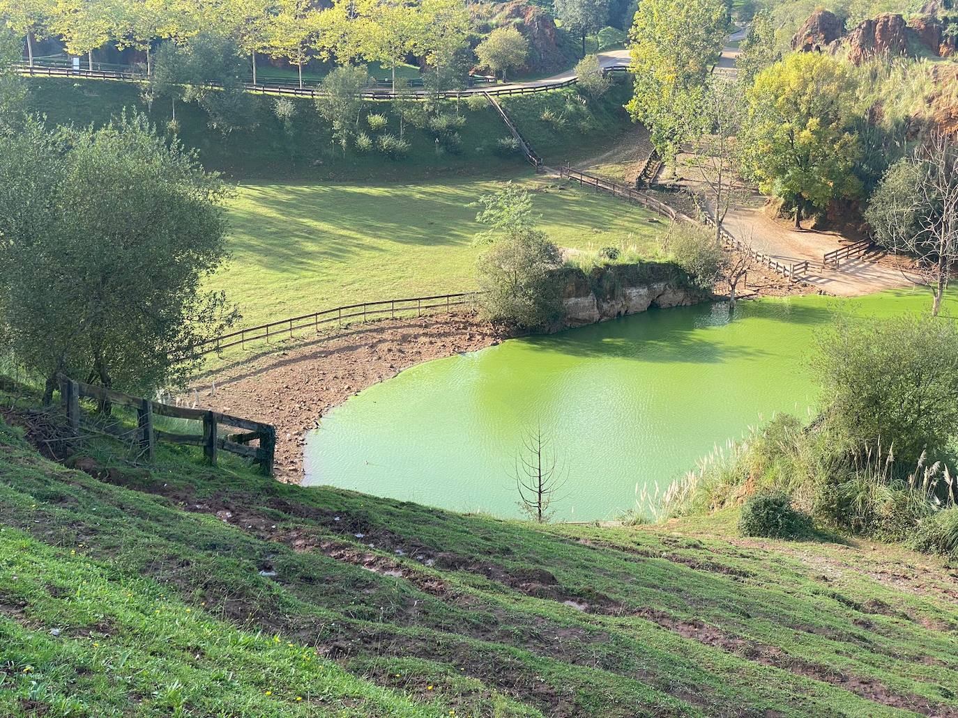 Fotos: El lago verde aceituna de Cabárceno