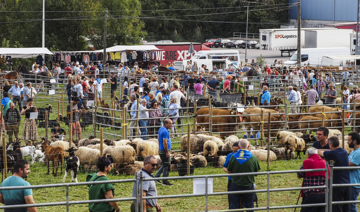 Fotos: La feria de San Lucas en Hoznayo, en imágenes