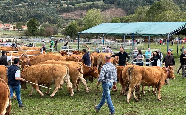 Varios ganaderos en la Feria de Año de Cabuérniga. 