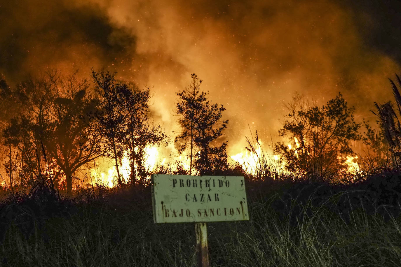 Fotos: Imágenes del incendio en Loredo