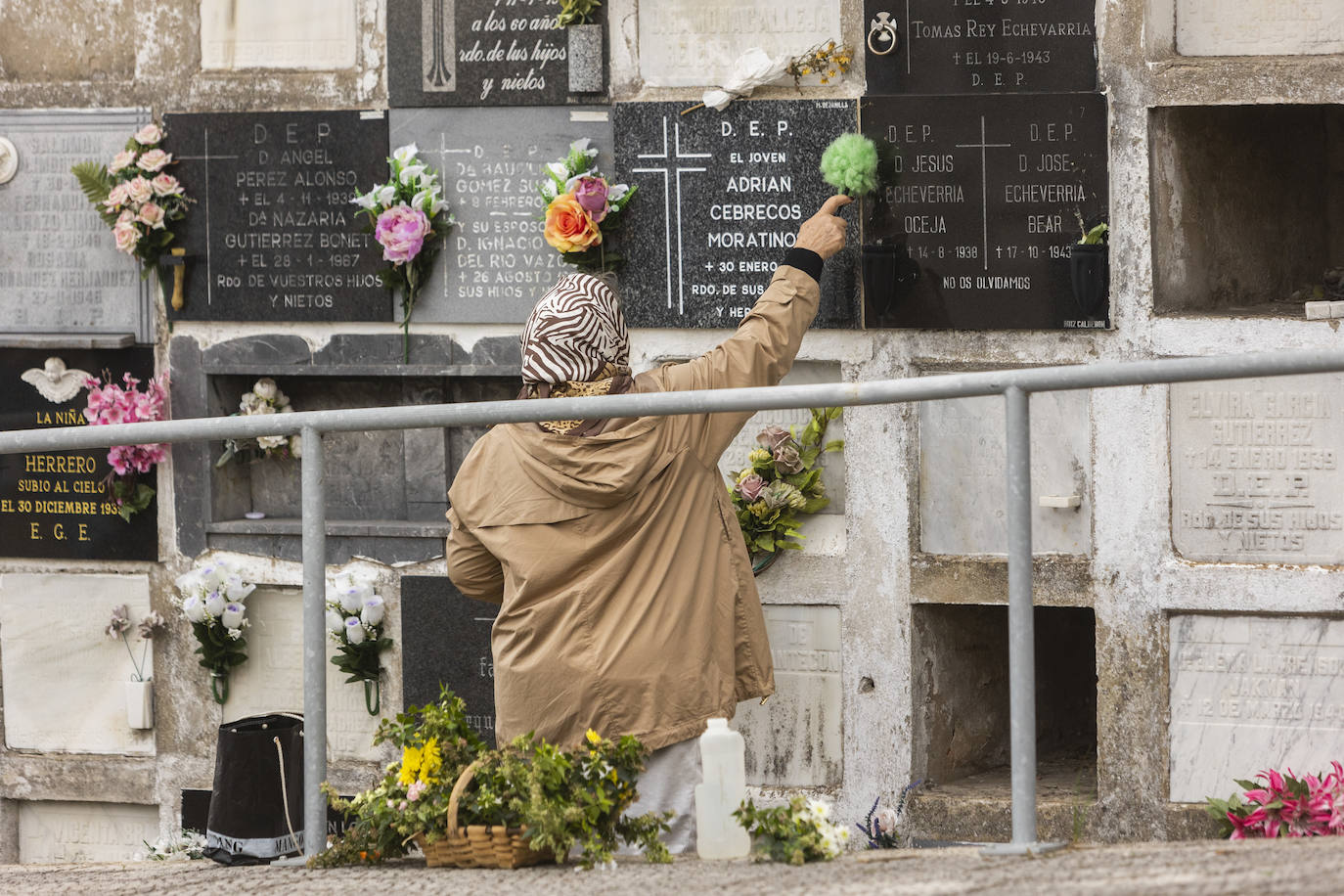 Fotos: Ciriego se llena de flores