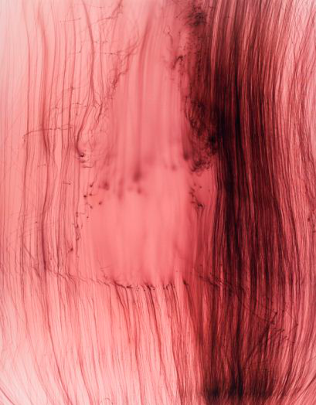 Wolfgang Tillmans, Freischwimmer #27 [Nadador libre 27], 2003. C-Print, 227 x 171 cm. 