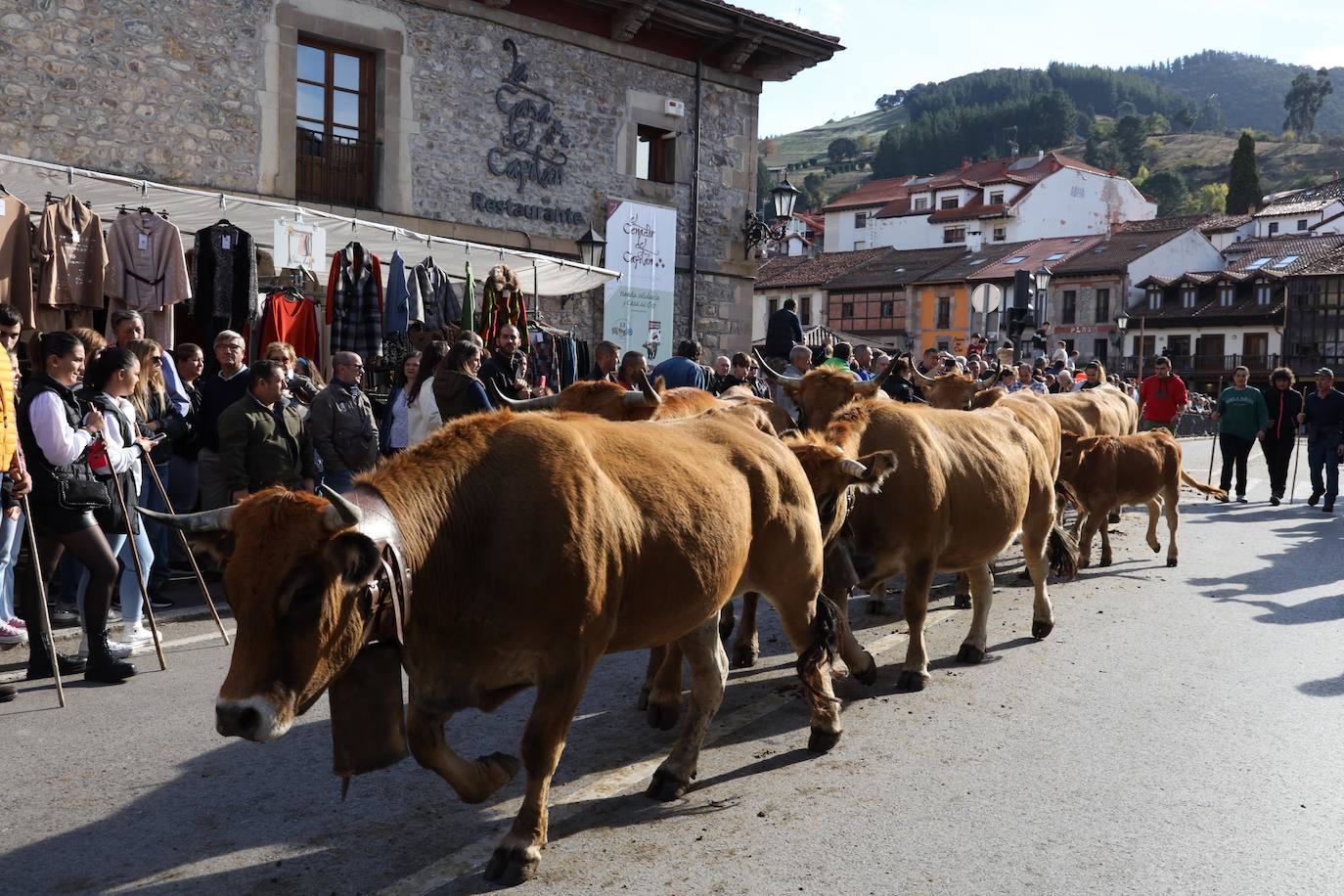 Fotos: La Feria de los Santos de Potes, en imágenes