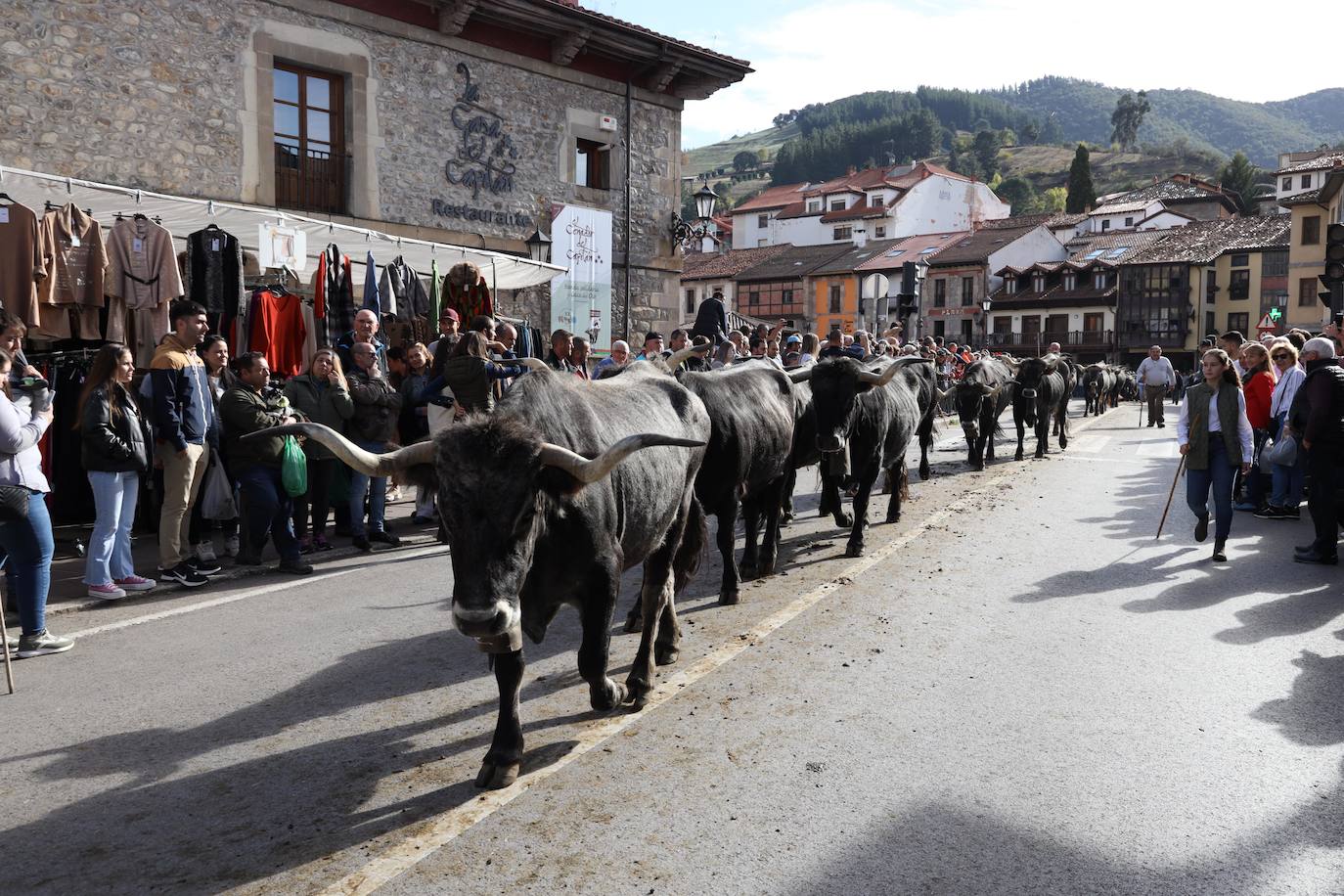 Fotos: La Feria de los Santos de Potes, en imágenes