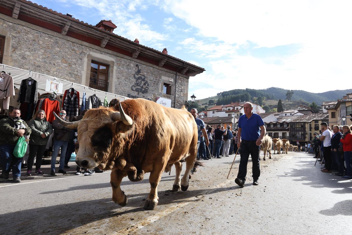 Fotos: La Feria de los Santos de Potes, en imágenes