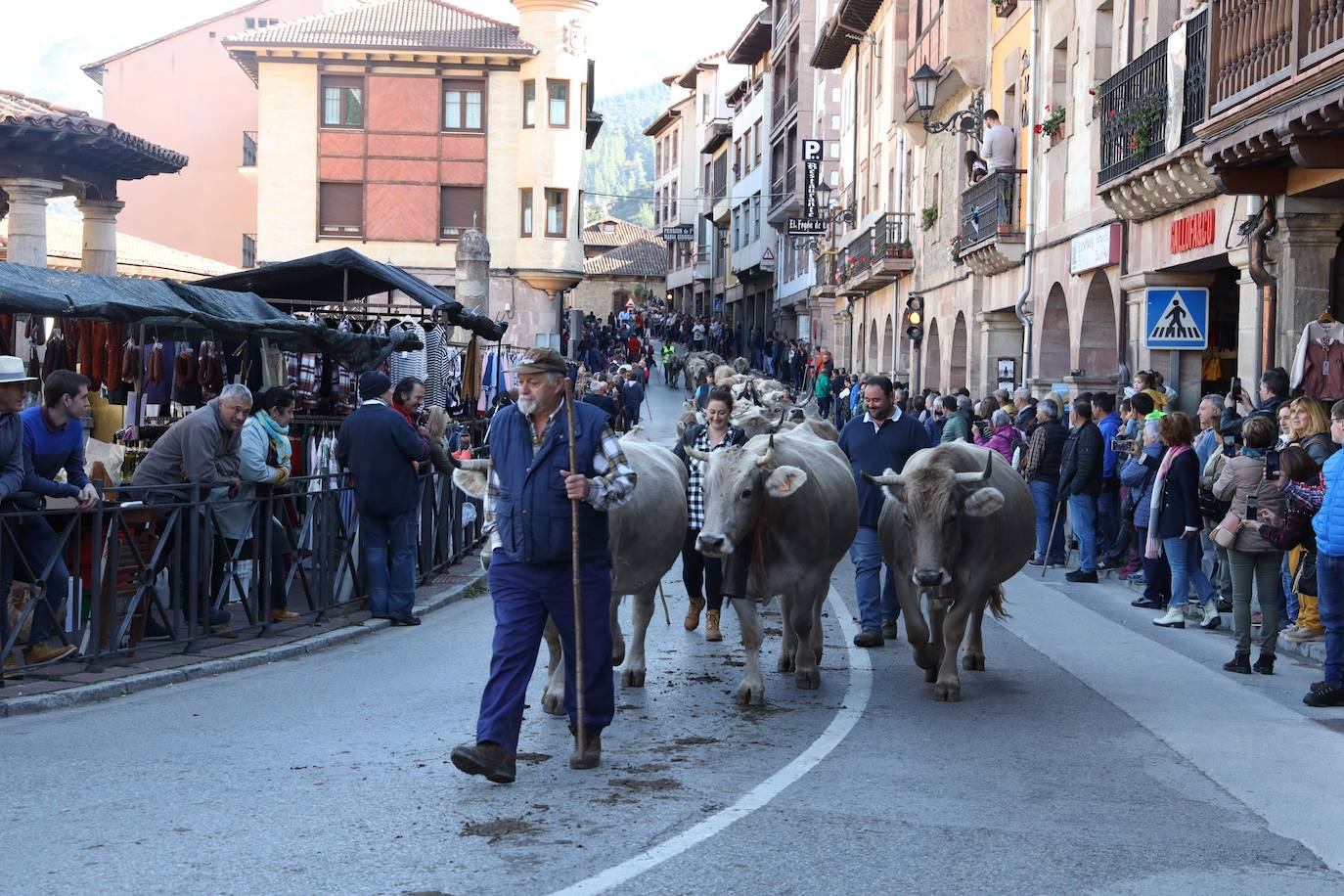 Fotos: La Feria de los Santos de Potes, en imágenes