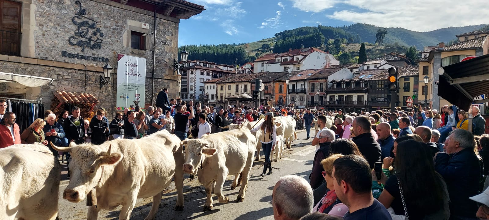 Fotos: La Feria de los Santos de Potes, en imágenes