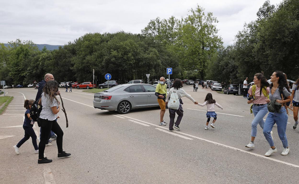 Trasiego de visitantes en la zona próxima al bosque de las secuoyas 