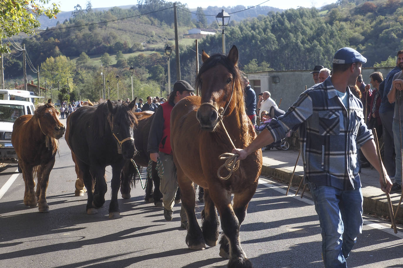 Fotos: La tradicional &#039;pasá&#039; de cabañas ganaderas por Cieza